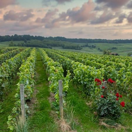 Maison De Champagne F.Barbier ! Avize Eksteriør billede
