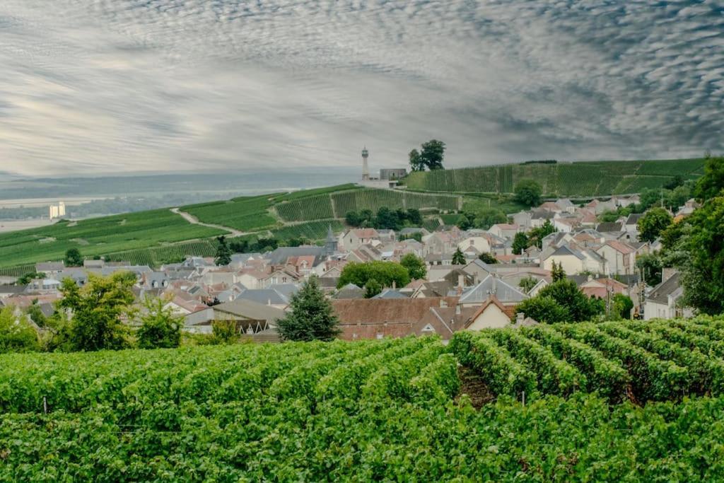 Maison De Champagne F.Barbier ! Avize Eksteriør billede